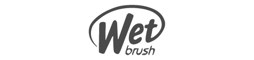 THE WET BRUSH